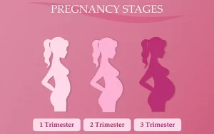 pregnancy symptoms